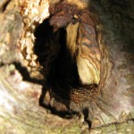 IMG_2769