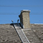 IMG_2781