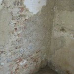 IMG_2866