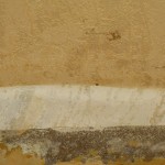 IMG_2282